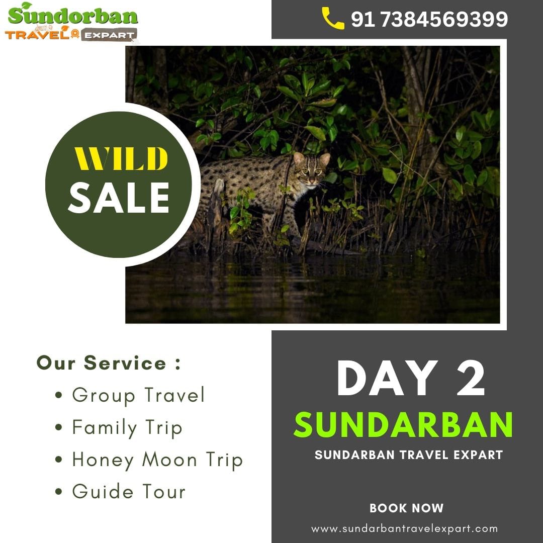 Sundarban 2 day