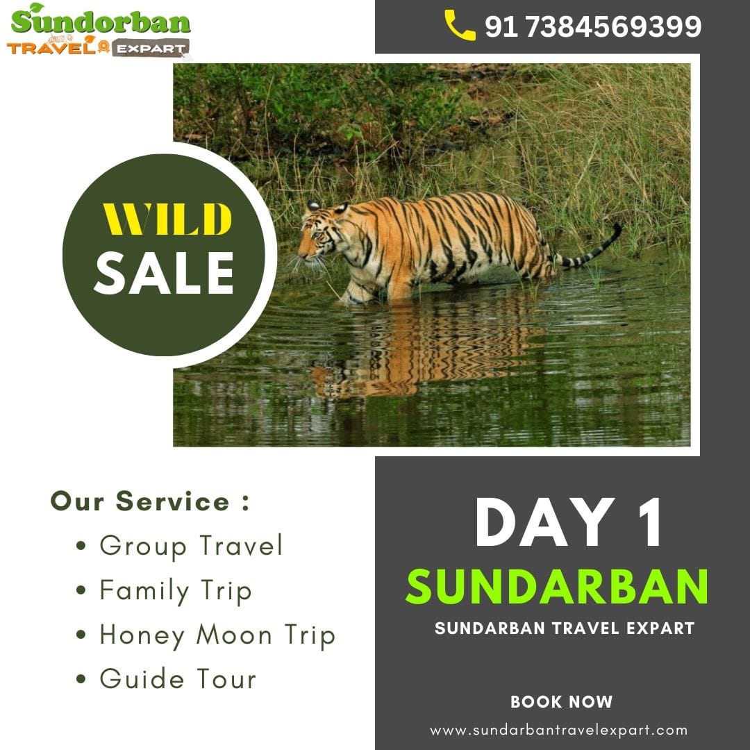 Sundarban 1 day tour