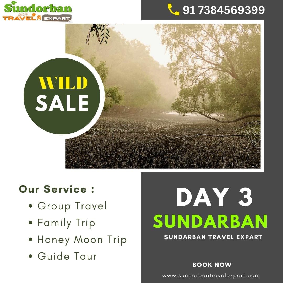 Sundarban 3 day